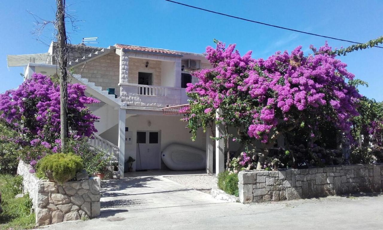 Zile Apartment *